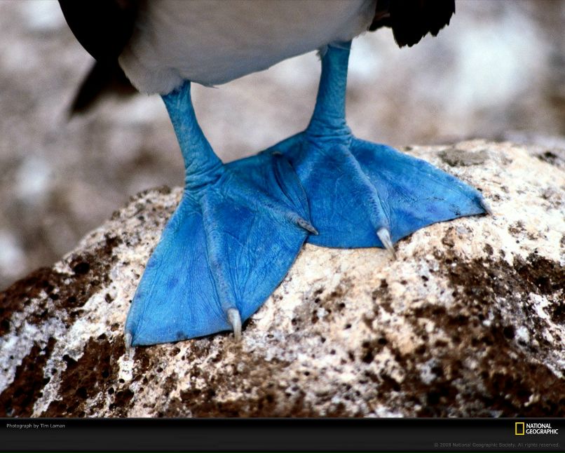 Ren Tatsumi | Москва