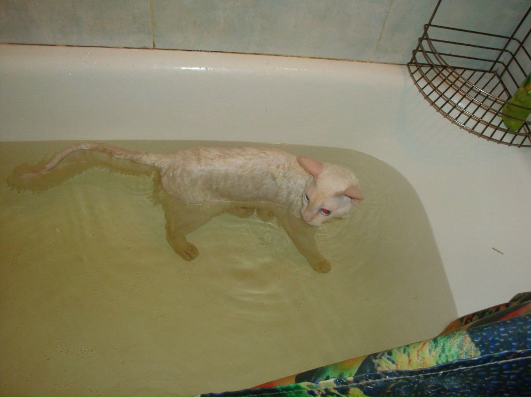 Миня Михалыч | Екатеринбург