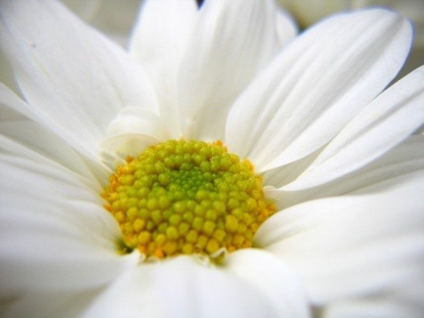 Ксюша Базюк | 