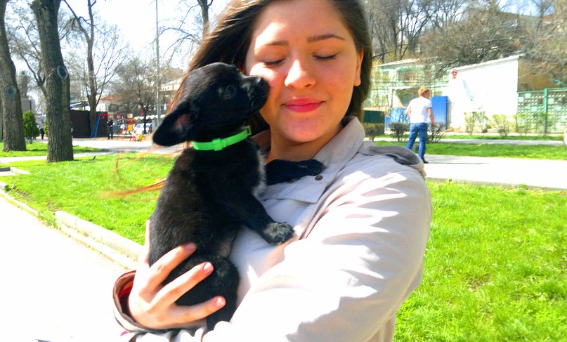 Софья Илясова | Ростов-на-Дону