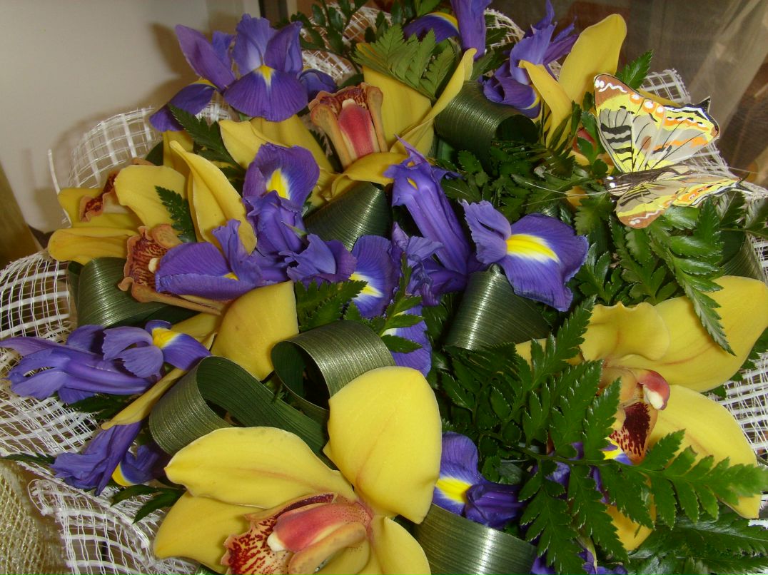 Надежда Семочкина ♥♥♥♥ | Долгопрудный