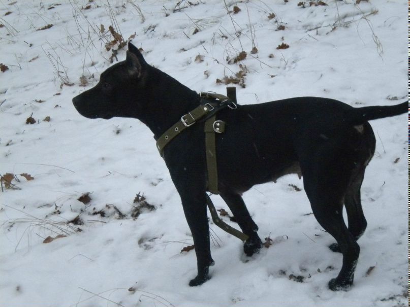 Стас Сливка | Ужгород