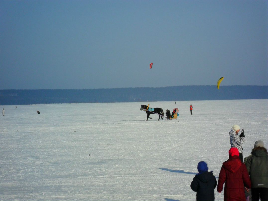 Алексей Максимов | 