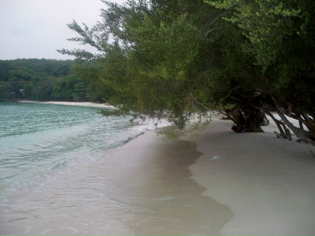 Виктория Мальчикова | Красноярск