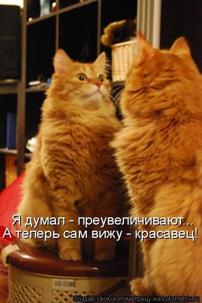 Инкогнито Inkognito | Москва