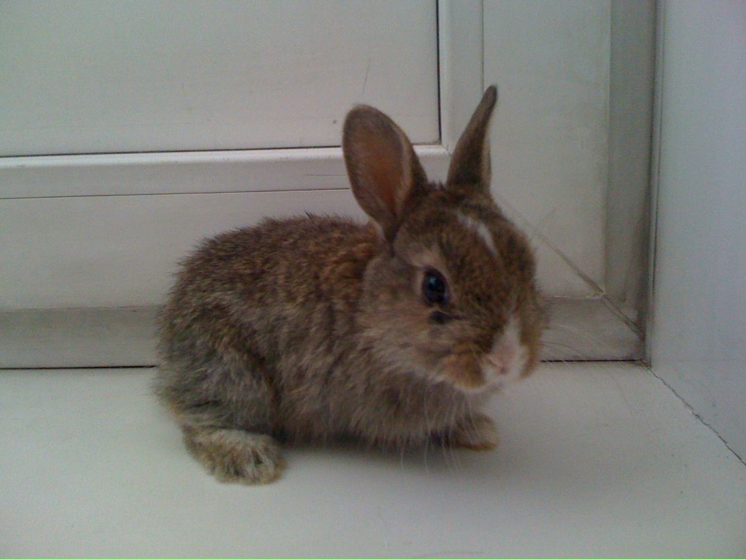 Polina Fedorova-Bulgakova | Южно-Сахалинск