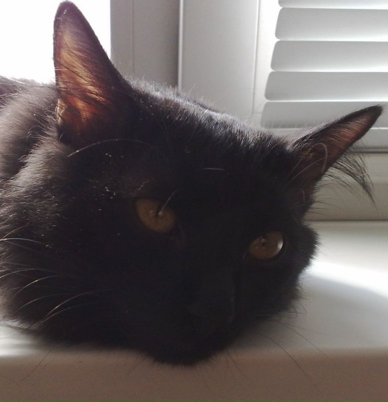 Олег Табунков | Череповец