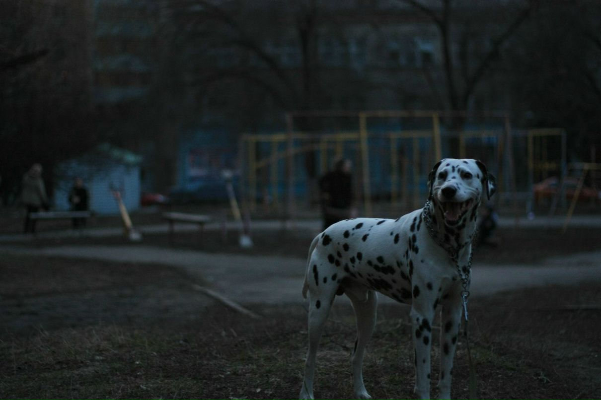 Славик Аджигитов | Москва