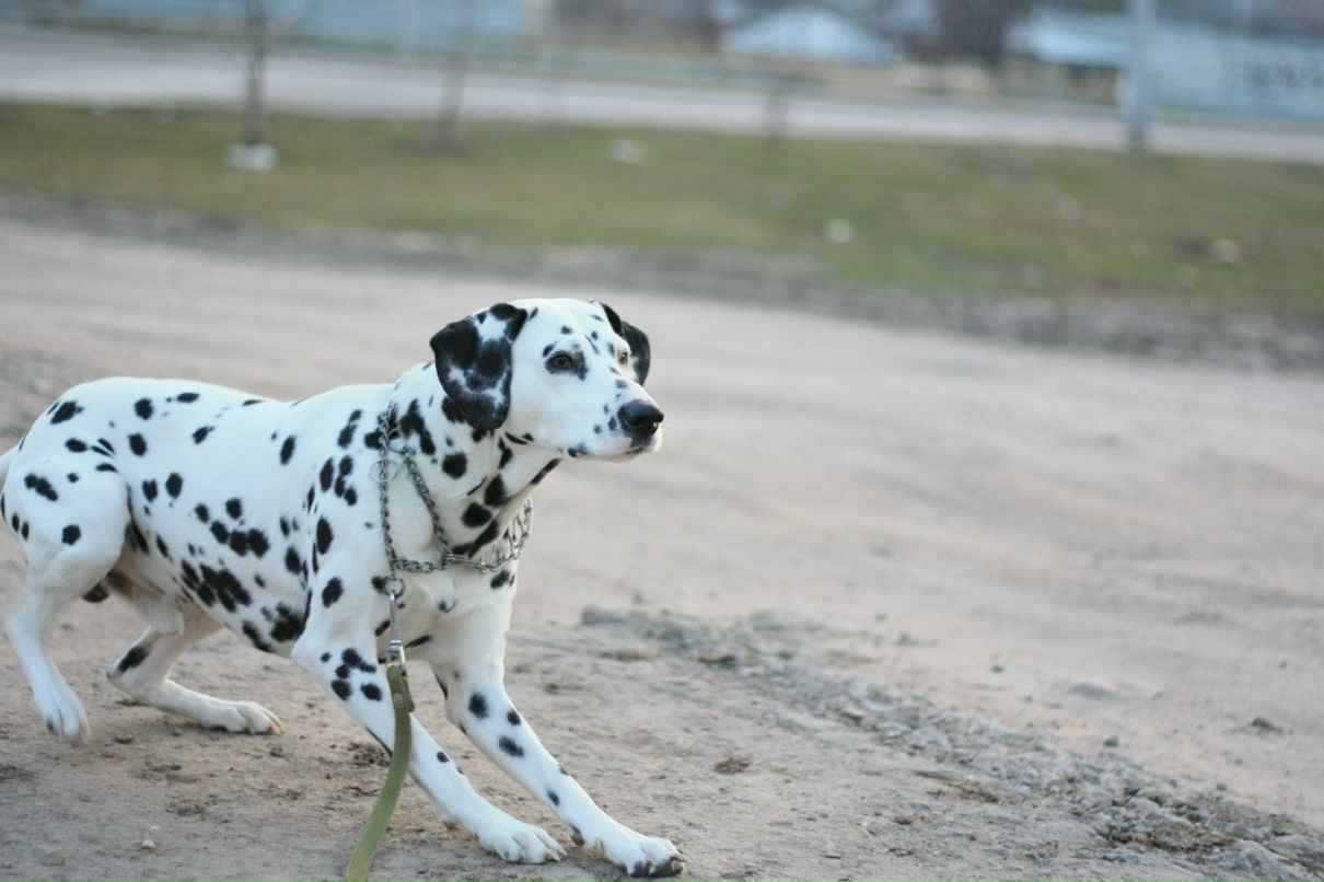 Славик Аджигитов | Москва