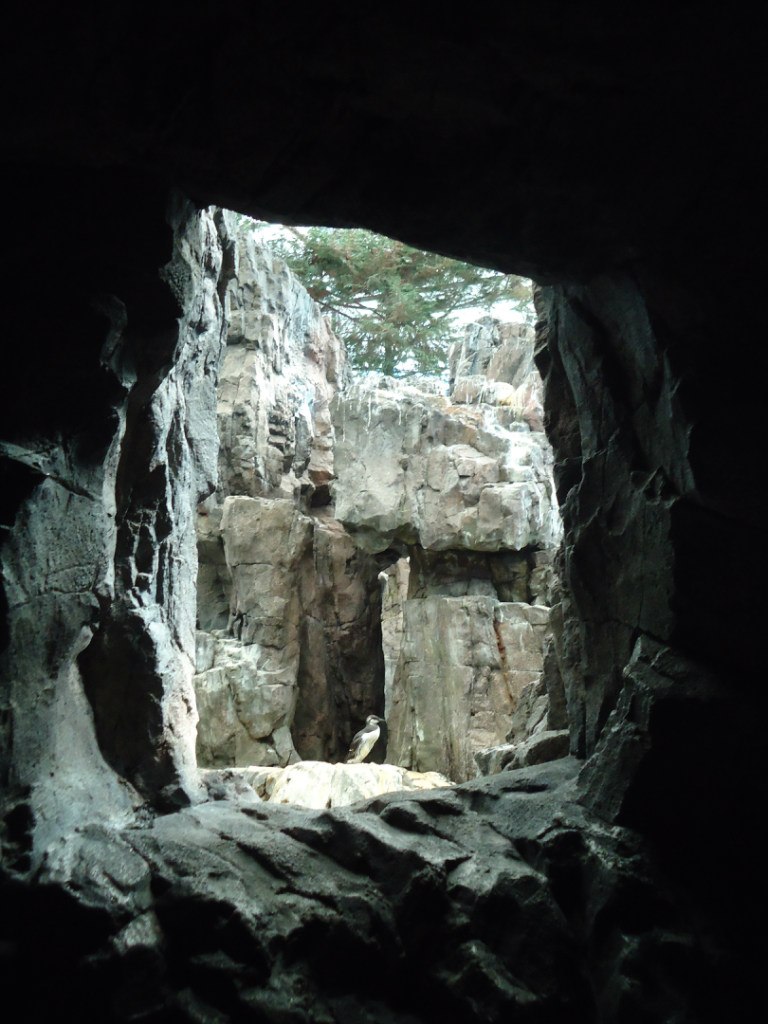 Анна Костенкова | Москва