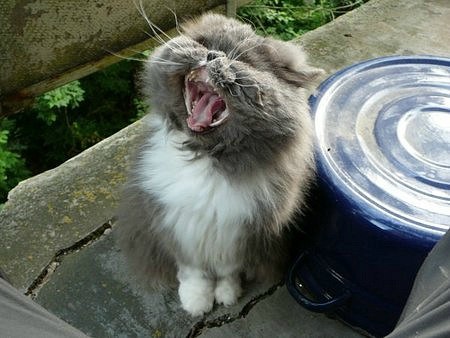 Мария Моисейчева | Киев