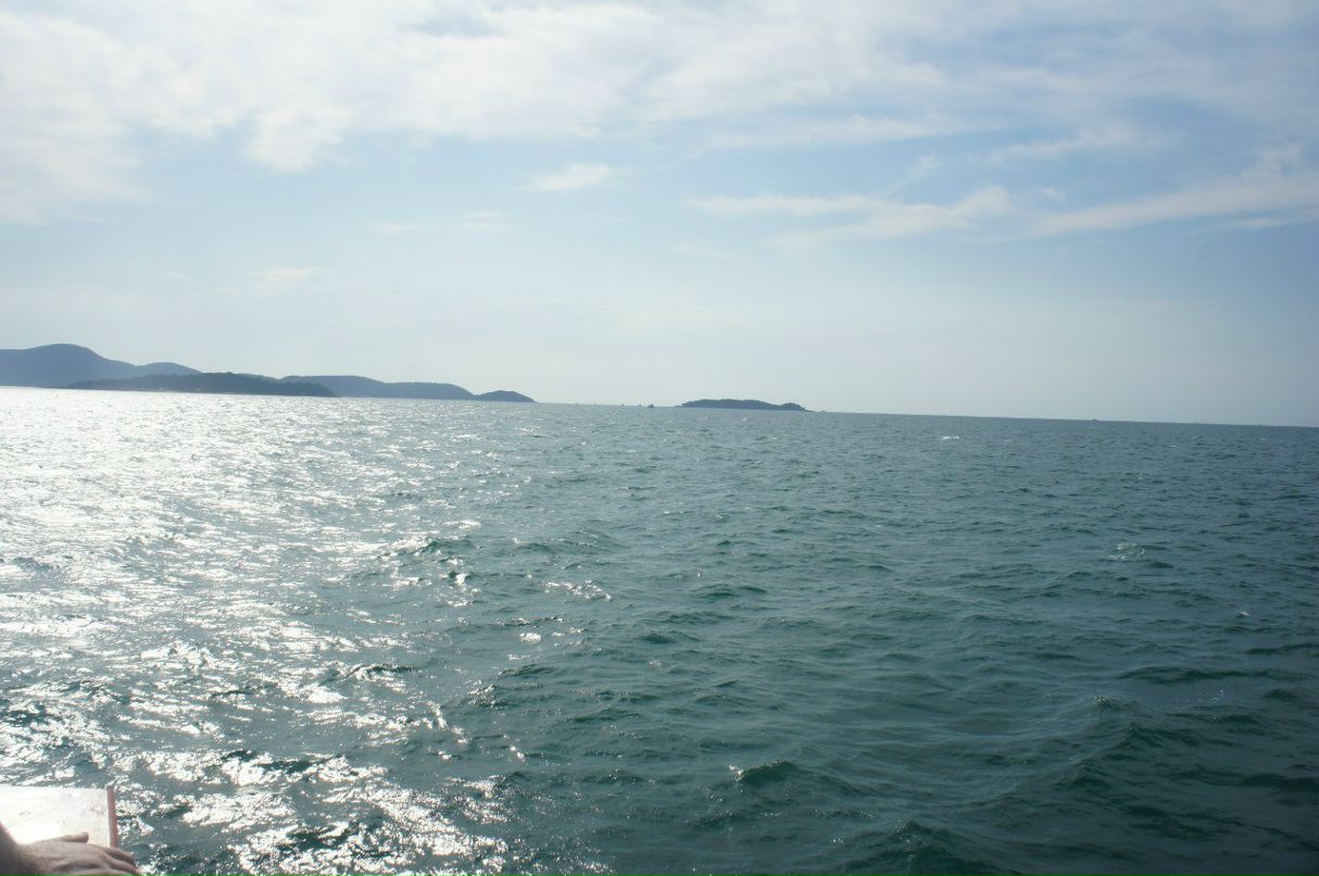 Катя Александрова | 