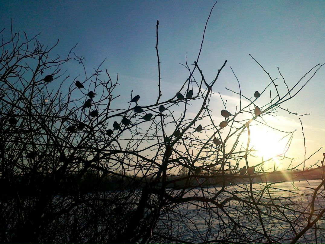 Александр Купаковский | Санкт-Петербург