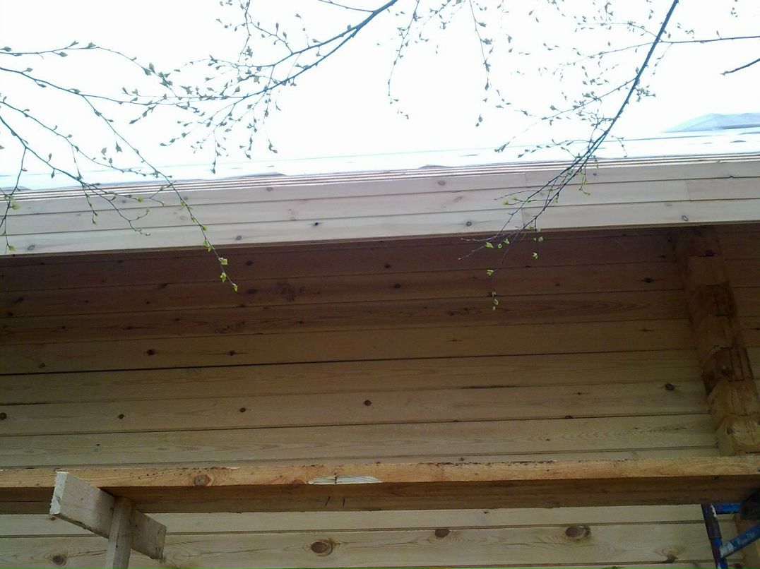 Иван Шафоростов | Гатчина