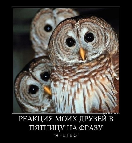 Александр Цветков | Санкт-Петербург