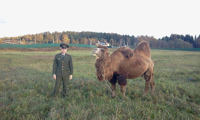Сергей Дмитриченков | Брянск
