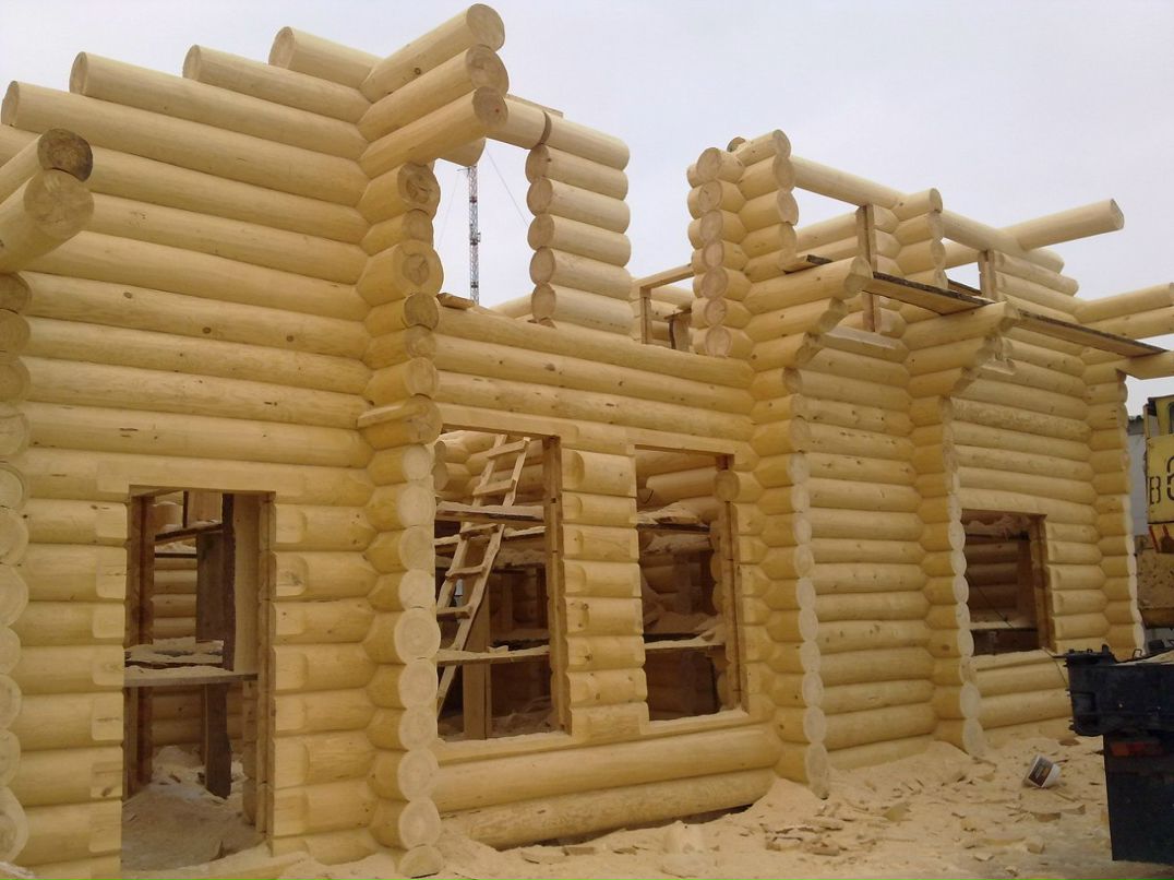 Сергей Кудрявцев | Санкт-Петербург