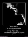 №3 Екатерина Солнечная : профиль, фото, статус - ВКонтакте №3 Екатерина Солнечная : профиль, фото, статус - ВКонтакте