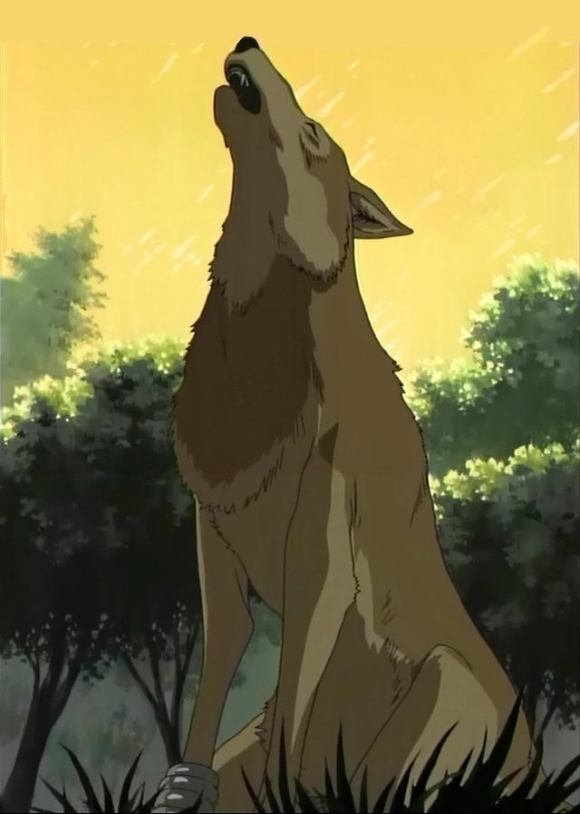 Надежда Ямщикова | Ульяновск