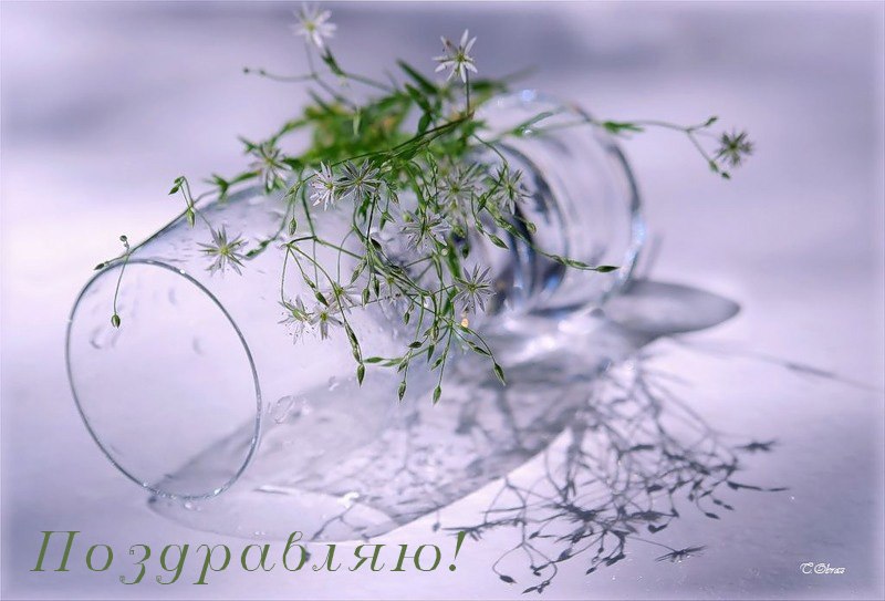 Надежда Чалых | 