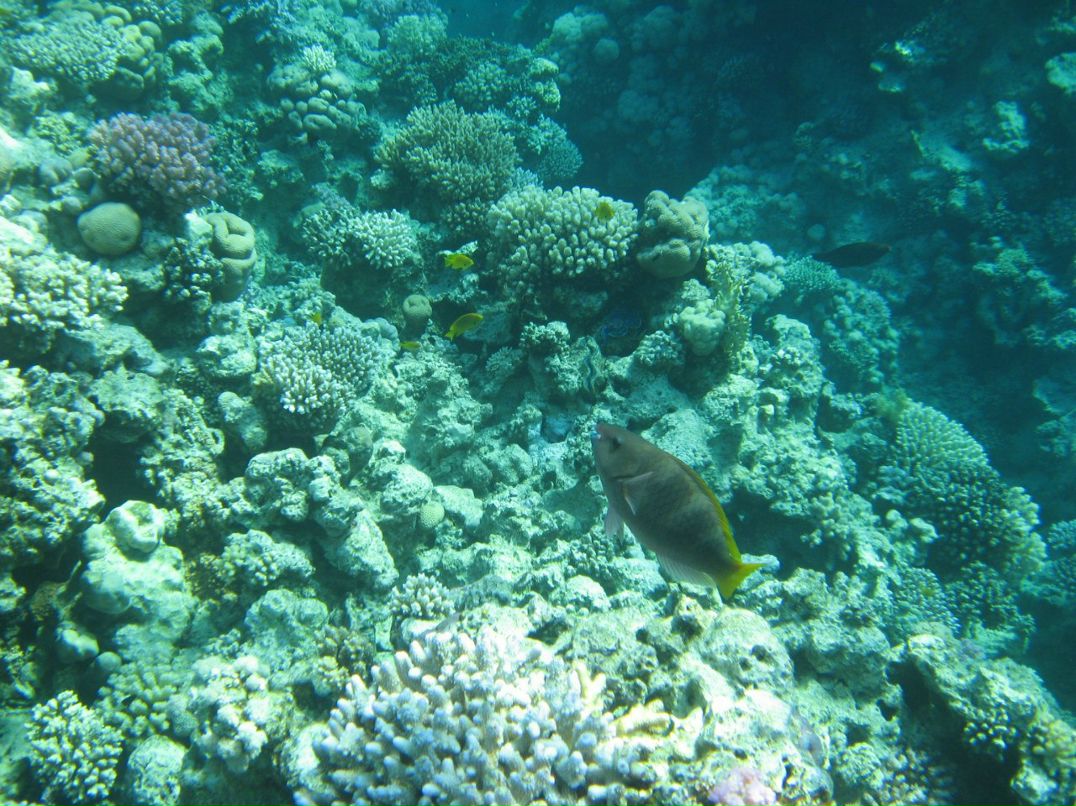 Надежда Кропачева | Киров