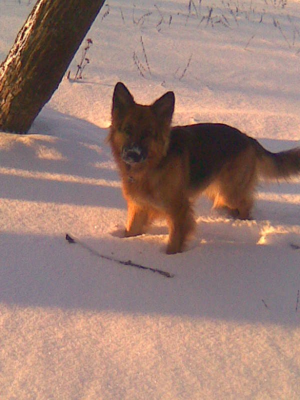 Анна Серова | Вологда