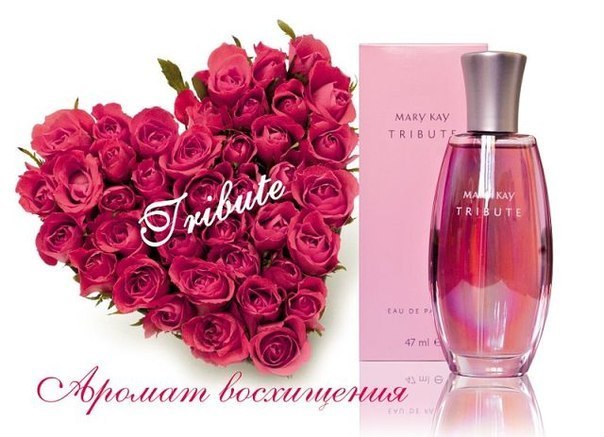 Эльвира Горбунова | 