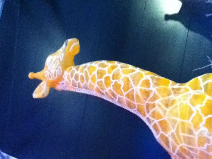 Мальвина Дронова | Нижний Тагил