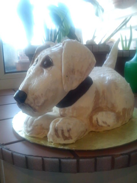 Анна Хайми | Санкт-Петербург