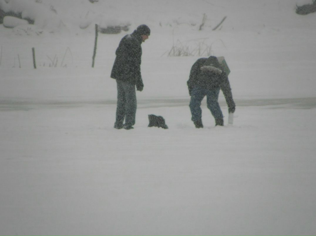 Виталик Линник | Белая Церковь