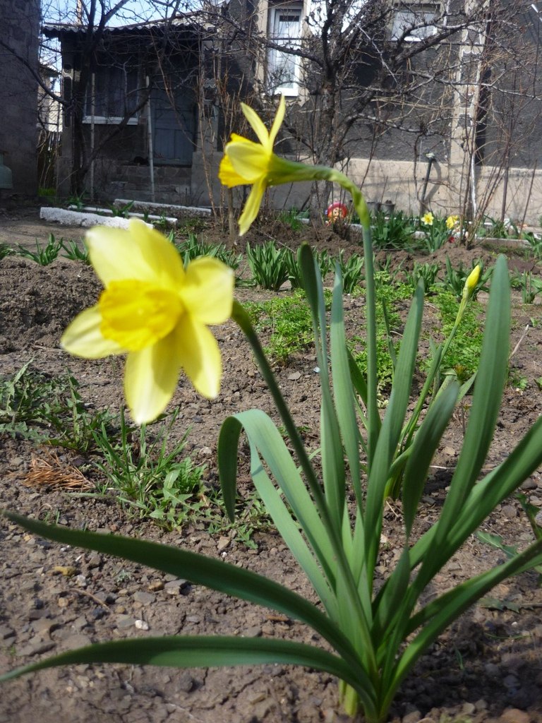 Татьяна Головко | Хрустальный / Красный Луч