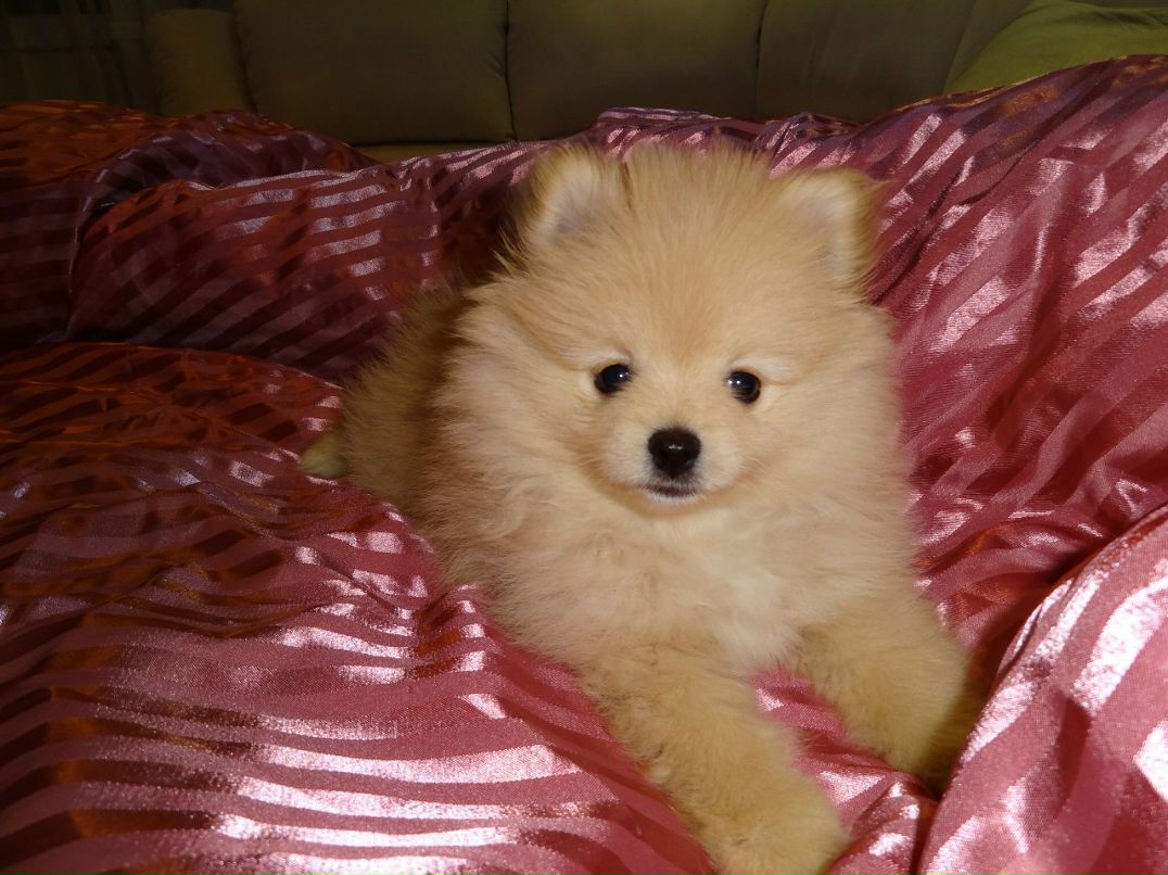 Инна Винниченко | Харьков