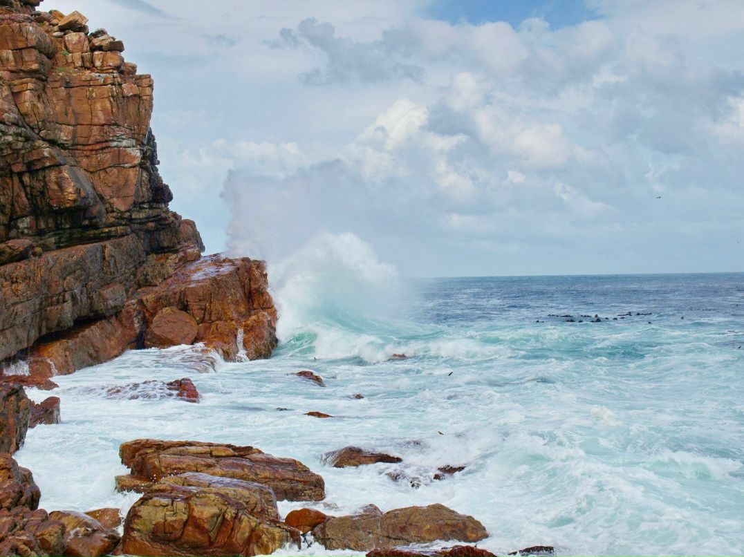 Игорь Хасапов | Vanderbijlpark