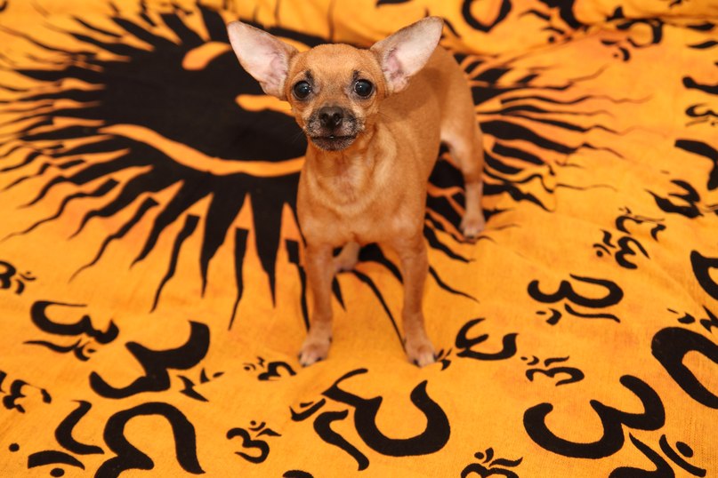 Светлана Паклина | Berlin