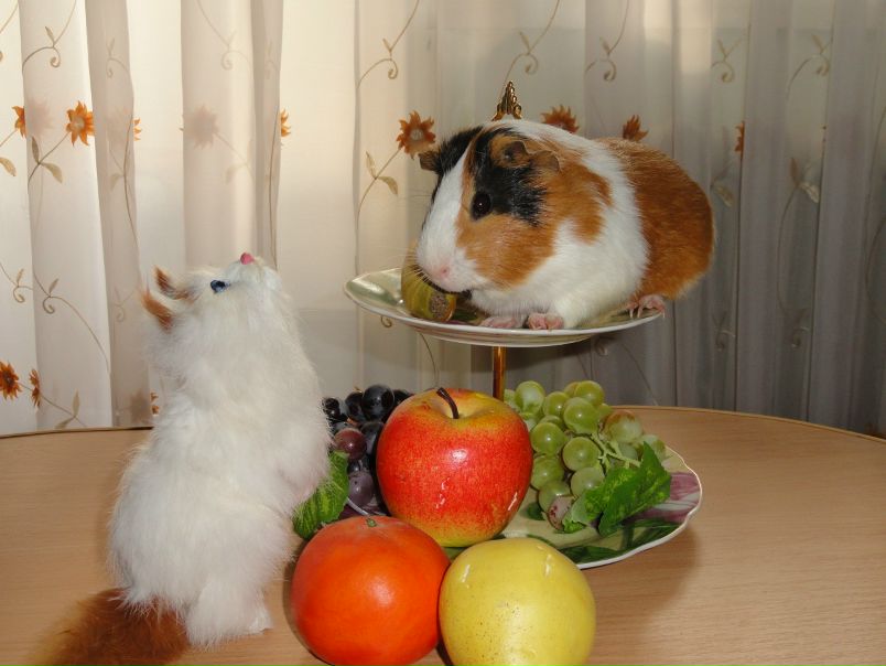 №101, Алеся Величко, Саки №101, Алеся Величко, Саки