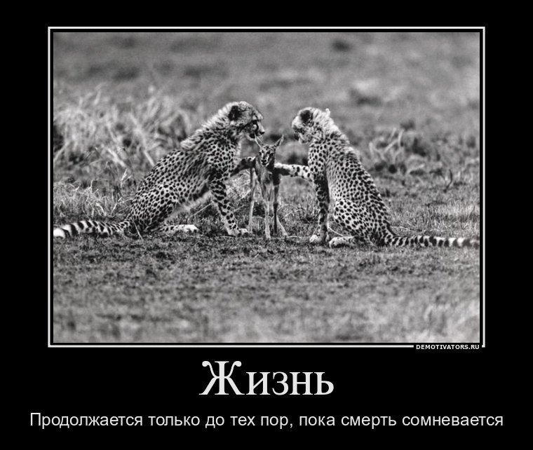 Вера Шиллер Анатольевна | Омск