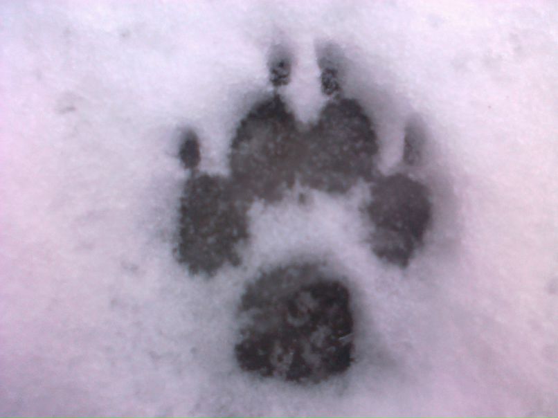 Иннокентий Кешин | Киев