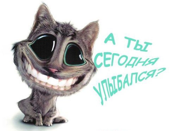 Саша Петушков | Кирза