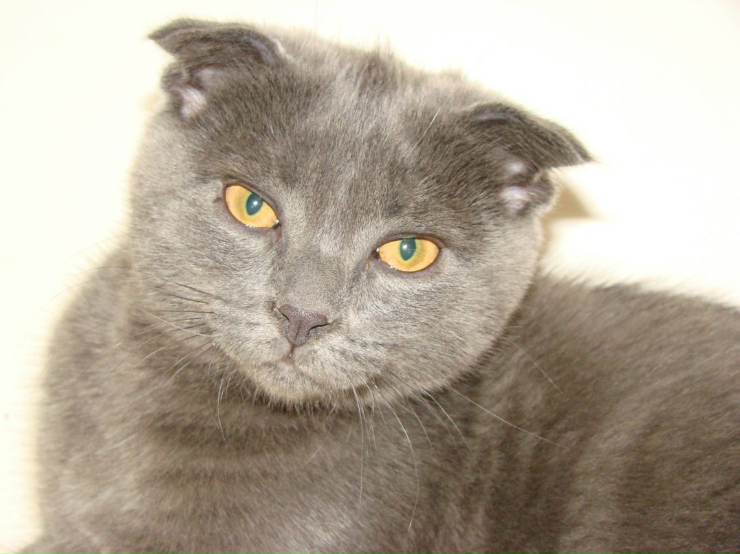 Аня Ромбовская | Сумы