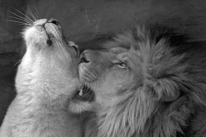 Татьяна Симугина | Харьков