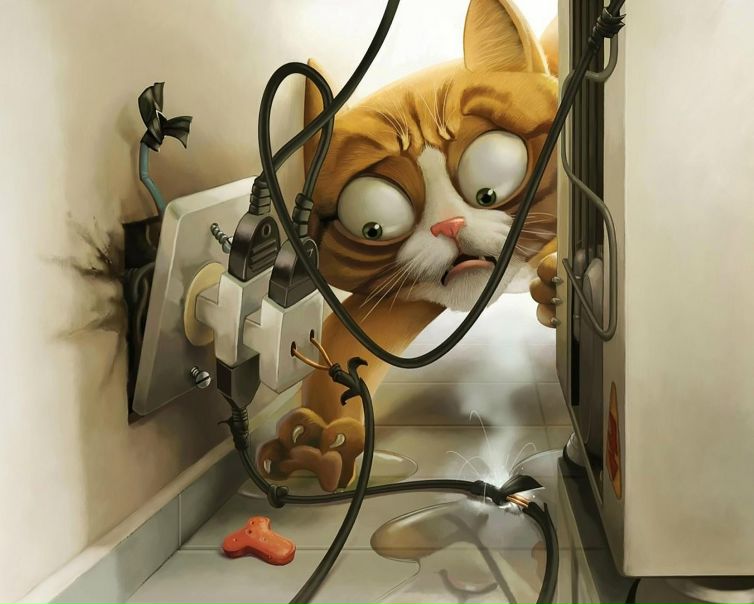 №6, Яна Шуринова №6, Яна Шуринова