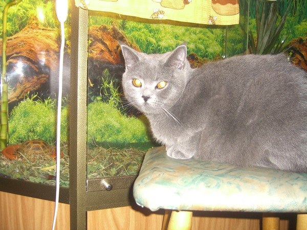 Ксения Малахова | Москва