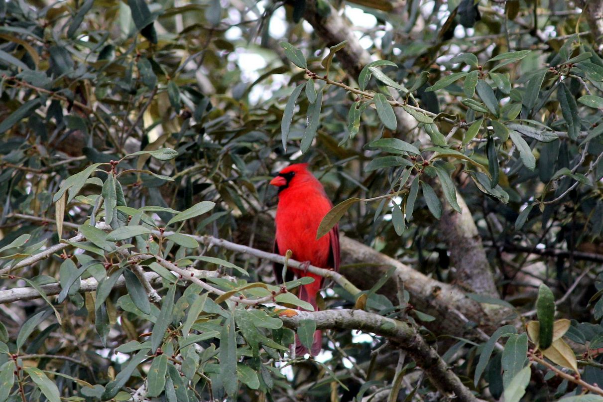 Natalia Natalia | Florida