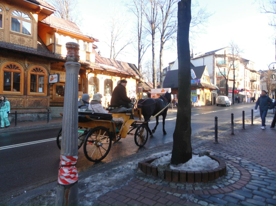 Ирина Петрова | Псков