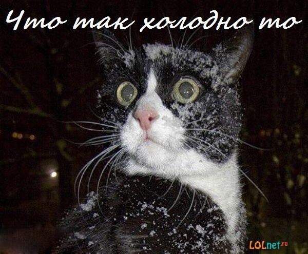 Анастасия Никифорова | Рязань