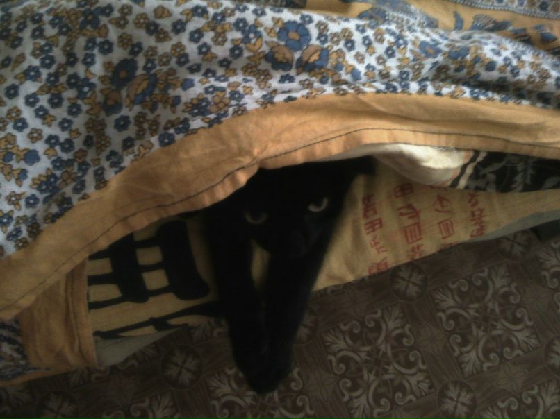 Александра Адельгейм | Нижний Новгород