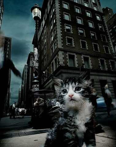 Мария Демидова Пантера | 