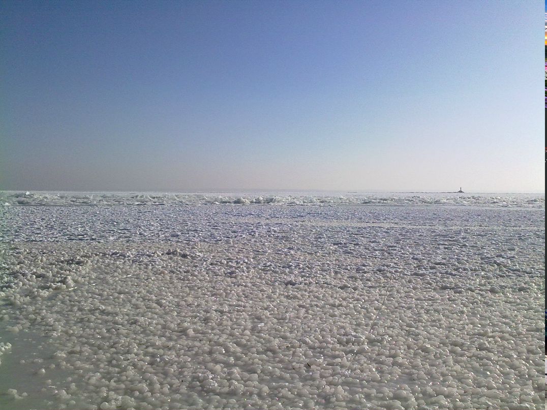 Саша Бобкин | Киев