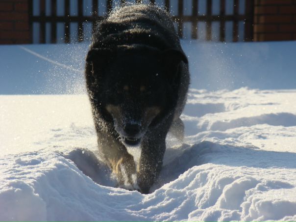 №6, El Mariachi, Туймазы №6, El Mariachi, Туймазы