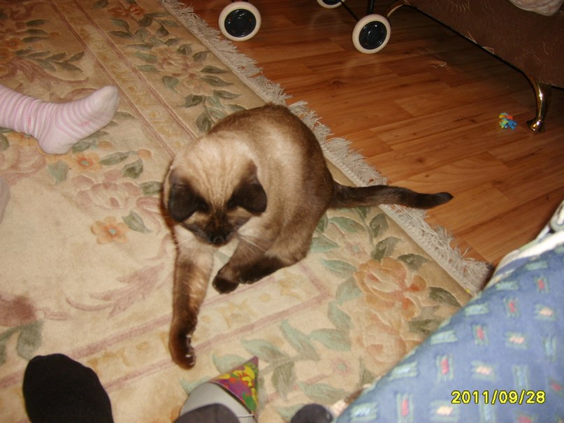 Баур Ермекбаев | Алматы